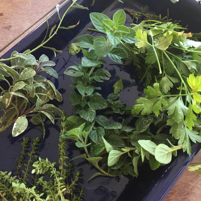 cornbread-dressing-herbs